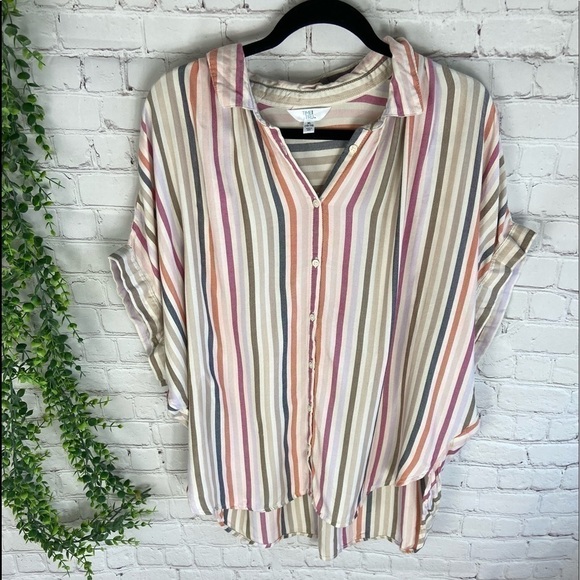 Time AND TRU STRIPED BUTTON DOWN BLOUSE XL NWOT - Picture 1 of 3